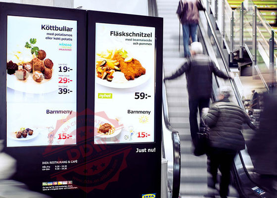 防水液晶モニター 高明度のLCD LEDテレビデジタルサイネージディスプレイ 480P / 720P DDW-AD4901S 1920x1080